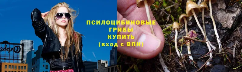 Галлюциногенные грибы Magic Shrooms Красноперекопск